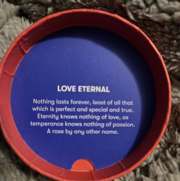 Erstwilder Spellbound Love Eternal Mini Brooch - Picture 2 of 4